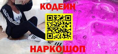 гашик Кингисепп