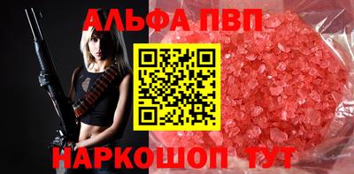 гашик Кингисепп