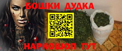 гашик Кингисепп