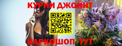 гашик Кингисепп