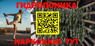 гашик Кингисепп