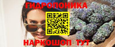 spice Кимры
