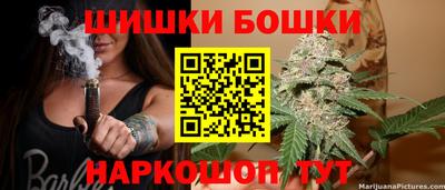 гашик Кингисепп