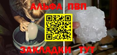 гашик Кингисепп