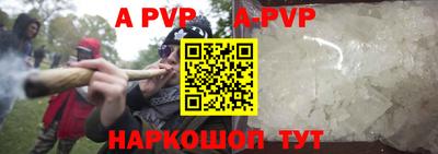 гашик Кингисепп