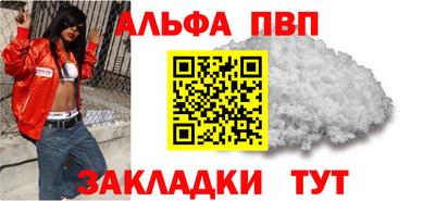 гашик Кингисепп