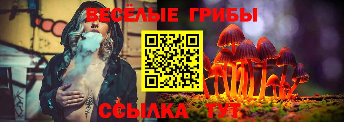 Курчалой  Галлюциногенные грибы GOLDEN TEACHER  Вход с VPN 
